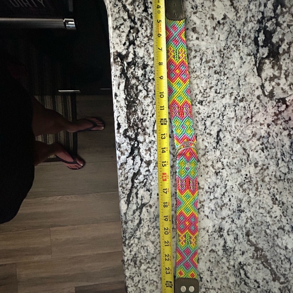 Dog collar - Picture 3 of 9
